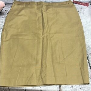 Merona Classic Tan Skirt